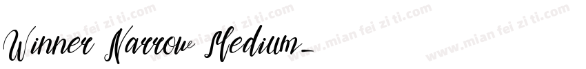 Winner Narrow Medium字体转换